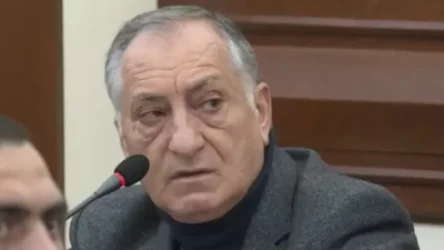 Մի երևույթ կա Երևանում թափառող, այդ լկտիության դեմն առնելու ձևը, մենք էլ չենք կարողանում գտնել. Կամո Արեյան