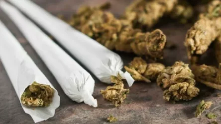 Բարսելոնայում իրավապահները գտել են մարիխուանա պարունակող կոնֆետ