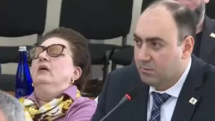 ՏԵՍԱՆՅՈՒԹ. Նիստի ընթացքում ավագանու անդամ Լյուդմիլա Սարգսյանը քնել էր