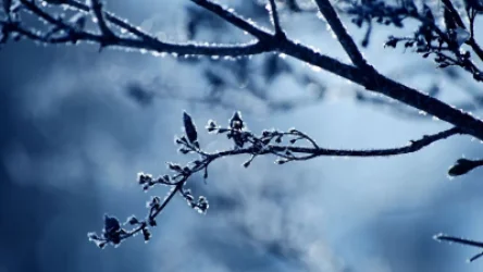 Առաջիկա օրերի եղանակը՝ ՀՀ տարածքում