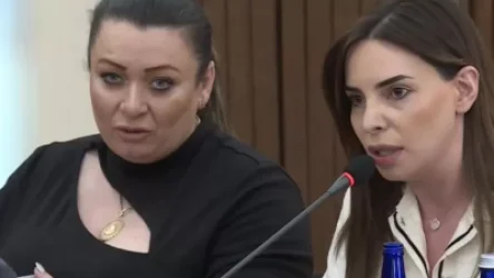 ՏԵՍԱՆՅՈՒԹ. Շատ ողբերգական է, որ «Իմ քայլի»` ամիսներ մշակած նախագծի մեջ այդքան տառասխալներ կան. Թեհմինե Վարդանյան