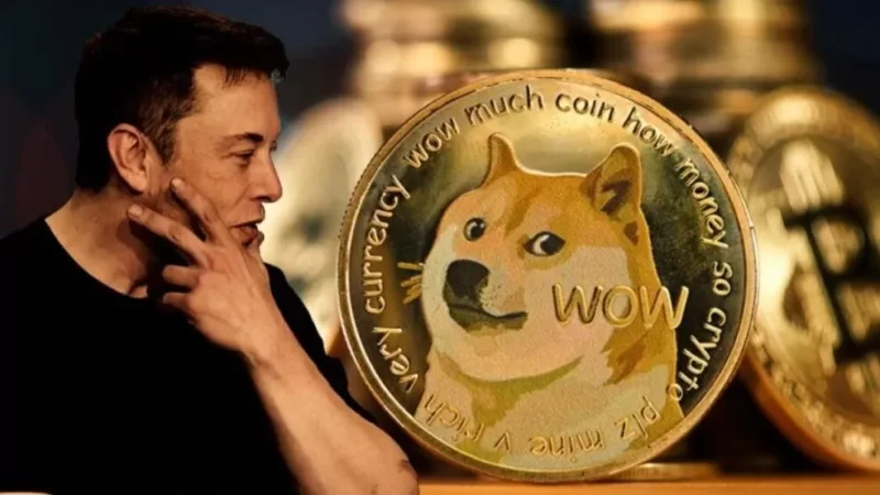 Photos: Elon Musk Appoints Dog Named Floki as Head of Social Media