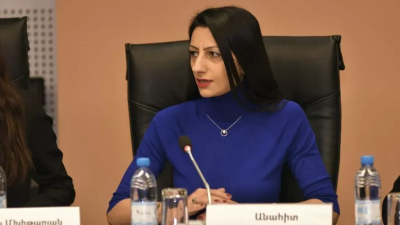 Իրավապաշտպանի նկատմամբ բռնություն գործադրելու դեպքի առնչությամբ սկսվել է քննարկման ընթացակարգ. ՄԻՊ