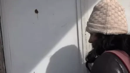 ՏԵՍԱՆՅՈՒԹ. Մարդ չեք «մուսռ» եք. բնակիչը` ոստիկաններին