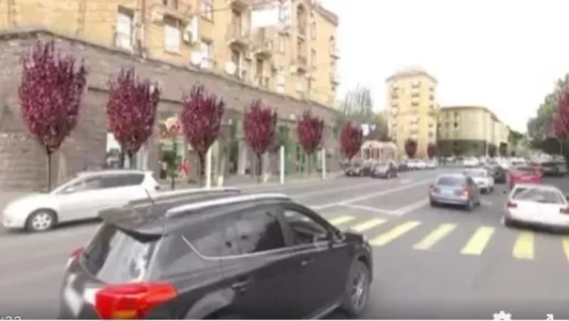 Դրանք նախկինների տնկած շնաբարո ծառերն էին․ ֆեյսբուքյան օգտատեր