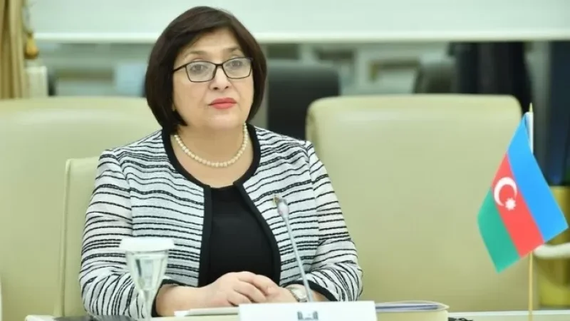 ԵՄ դիտորդների առաքելությունը կարող է վտանգ դառնալ հարաբերությունների կարգավորման համար․ Ադրբեջանի խոսնակ