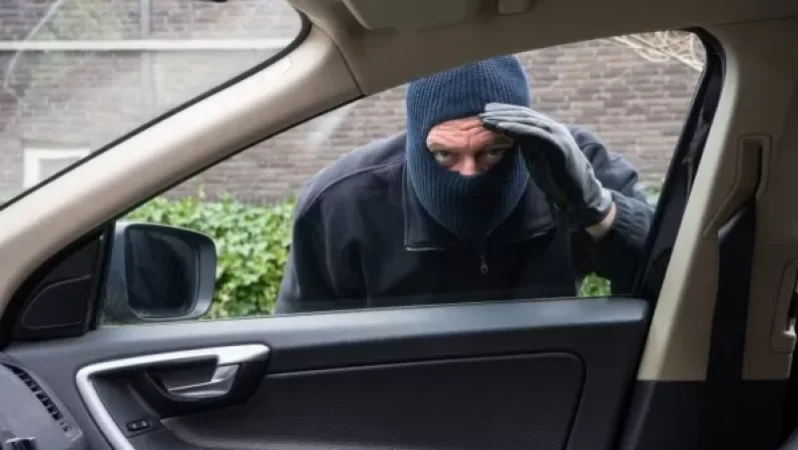 Գողություններ՝ Գեղարքունիքի մարզում. «Դուք դրախտում տեղ չունեք» հատուկ օպերացիան ղեկավարել է «Շերլոկ Հոլմսը». Shamshyan. com