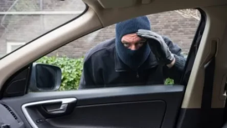 Գողություններ՝ Գեղարքունիքի մարզում. «Դուք դրախտում տեղ չունեք» հատուկ օպերացիան ղեկավարել է «Շերլոկ Հոլմսը». Shamshyan. com