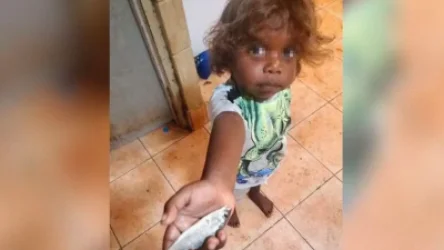 Ավստրալիայում ձկան անձրև է տեղացել