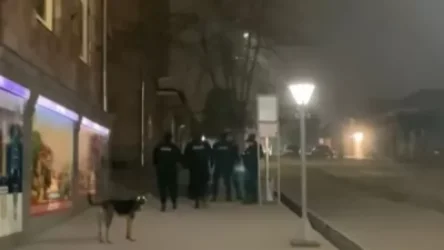 Ընտրությունների նախորդ օրը մեծ թվով ոստիկանական ուժեր են բերվել Գորիս