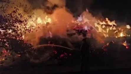 ՏԵՍԱՆՅՈՒԹ. Պատահական հրդեհ չէր, հրկիզում էր. Վայքի ոստիկանների բացահայտումը