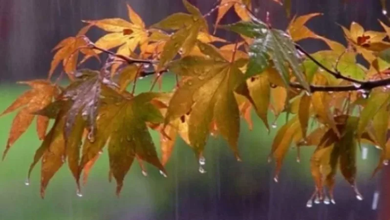 Օդի ջերմաստիճանը աստիճանաբար կնվազի