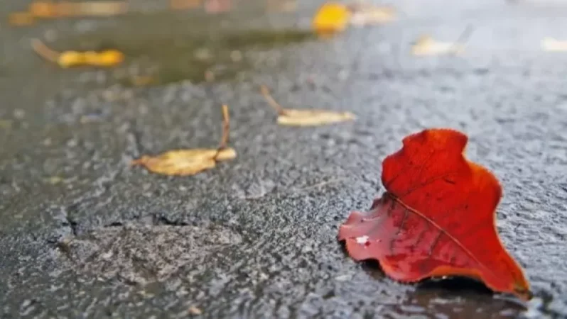 Ջերմաստիճանի նվազման վերաբերյալ կանխատեսումը վերաբերում է միայն գիշերային ժամերին. Պարզաբանում