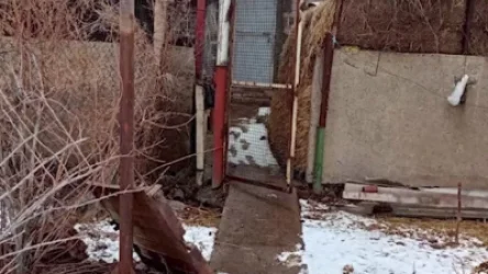 ՏԵՍԱՆՅՈՒԹ. Երևանցին 4 ոչխար էր գողացել մրգաշենցու անասնագոմից և վաճառել