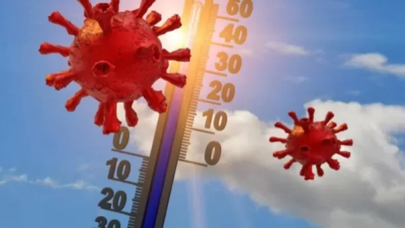 Ինչպե՞ս է եղանակն ազդում СՕVID-19-ի տարածման վրա