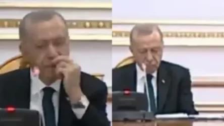 ՏԵՍԱՆՅՈՒԹ․ Էրդողանը քիթն է փորել ու քնով անցել․ սոցցանցերում տարածվում են Անգոլայի նախագահի հետ ասուլիսի այդ կադրերը