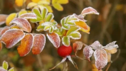 Օդի ջերմաստիճանը հոկտեմբերի 25-27-ն աստիճանաբար կնվազի 8-11 աստիճանով