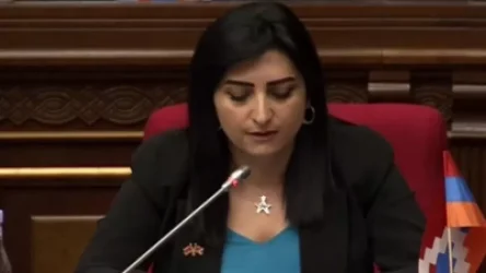 ՏԵՍԱՆՅՈՒԹ. Ի՞նչ է անում ԱԱԾ-ը` գերիների վերադարձի համար. Թագուհի Թովմասյան