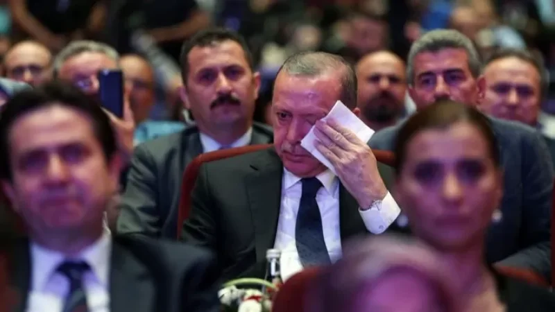 «Ամոթ չունես, կեցցես». ընդդիմադիր գործիչներն արձագանքում են Էրդողանին