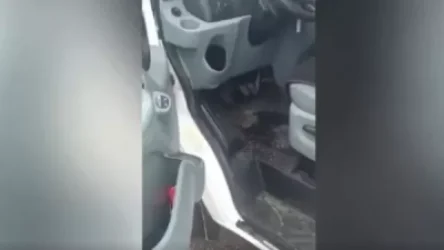 Գորիս-Կապան ճանապարհին մոտ քսան ադրբեջանցի կանգնեցրին մեքենաս, բացեցին դուռը, հարվածեցին մեքենայիս, հայհոյեցին. Գորիսի բնակիչ. Tert