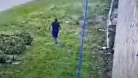 ՏԵՍԱՆՅՈՒԹ. Ինչպես է մաֆիոզը փախչում Իտալիայի բանտից