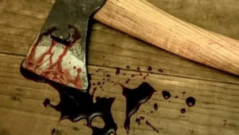 Զարհուրելի սպանություն Լոռում. որդին սպանել է մորը, ապա կացնով ու դանակով մասնատել, լցրել աղբամանն ու այրել