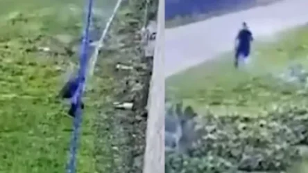 ՏԵՍԱՆՅՈՒԹ. Իտալացի մաֆիոզը սավաններով փախել է բանտից. հայտնի է` ինչպես է կազմակերպել փախուստը