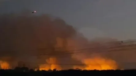 ՏԵՍԱՆՅՈՒԹ. 20 միլիոն բնակիչ  մնացել է առանց էլեկտրականության. Արգենտինա