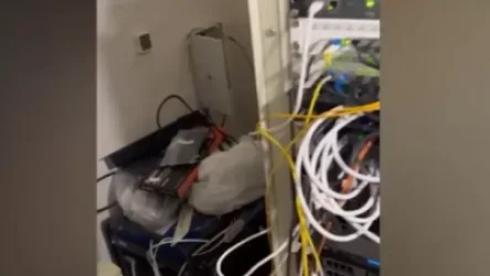 ՏԵՍԱՆՅՈՒԹ. «Նոր Զովք»-ի տվյալների շտեմարանը հայտնաբերվել է նկուղում՝ արկղերով և ալյուրի պարկերով քողարկված փակ դռան հետևում. մանրամասներ