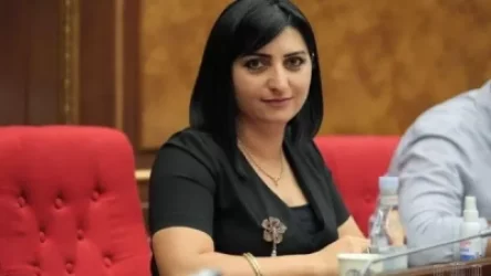 Ձկնորսների պնդմամբ՝ իրենք սոցիալական մեծ խնդիրների առաջ են, խնդիրը լուծում է պահանջում, այլ ոչ՝ հետաձգում. Թովմասյան