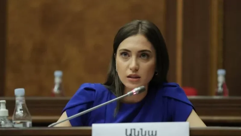 «ԵՄ դիտորդներն իրենք են ասել, որ հեռադիտակով են և ոչինչ անել չեն կարող». Աննա Մկրտչյան