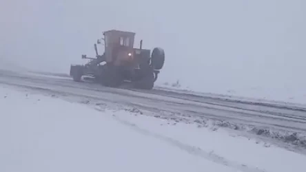 ՏԵՍԱՆՅՈՒԹ. Շիրակի մարզում ձյան առատ տեղումներ են. որոշ հատվածներում բուք է