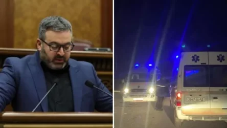 Թափառող շները հարձակվել են դրսում օթևանող ՊՆ նախկին շենքի բնակիչներից մեկի վրա. պատգամավոր