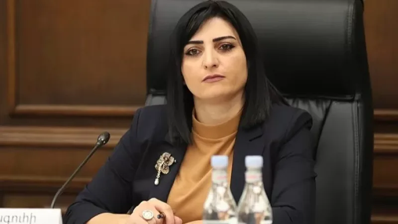 Հրատապ դիմել եմ դեսպաններին. Թովմասյան