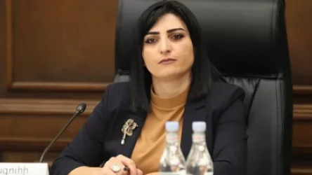 Հրատապ դիմել եմ դեսպաններին. Թովմասյան