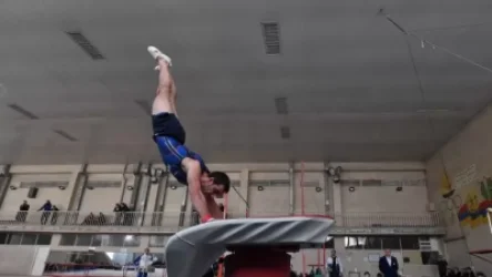 Մարմնամարզության հավաքականի մարզիչ Հայկ Նազարյանին 5 տարով արտաքսել են Կատարից