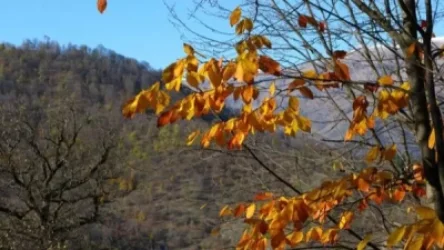 Եղանակը կցրտի 6-ից 10 աստիճանով