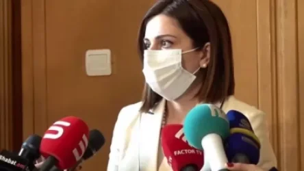 ՏԵՍԱՆՅՈՒԹ. Ալեն Սիմոնյանն ու Անդրանիկ Քոչարյանը պիտի դիմակ կրեն, եթե խախտել են օրենքը, պետք է տուգանվեն. նախարար