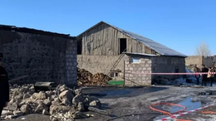 Հրդեհից հետո ողջ մնացած զինվորներն ալկոհոլ օգտագործած չեն եղել․ «Ժողովուրդ»