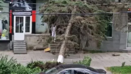 ՏԵՍԱՆՅՈՒԹ. Վանաձոր քաղաքում տեղատարափ անձրև է և փոթորիկ