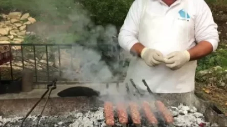 ՏԵՍԱՆՅՈՒԹ. Ադրբեջանցիները Տիգրանակերտի արքայական աղբյուրների պուրակը խորովածանոց են դարձրել. Artsakh Monument Watch