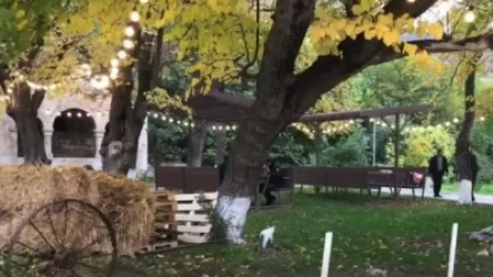 ՏԵՍԱՆՅՈՒԹ. Ադրբեջանցիները Տիգրանակերտի արքայական աղբյուրների պուրակը վերածել են խորովածանոցի