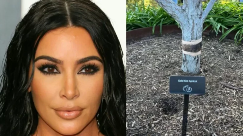 Photo: "How Armenian It Is For Me To Grow Apricots" - Kim Kardashian