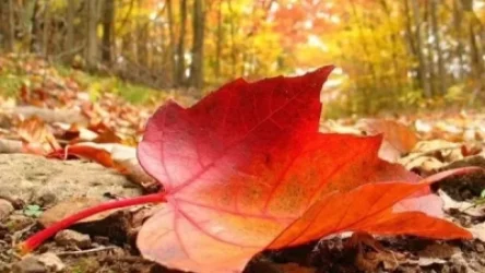 Ինչ եղանակ է սպասվում առաջիկա օրերին