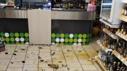 ՏԵՍԱՆՅՈՒԹ․ Կինը մտնում ու ջարդուփշուր է անում խմիչքի բաժինը․ ՌԴ