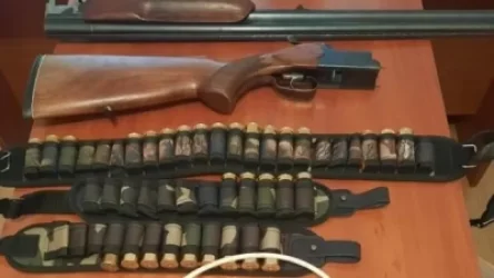 Դիլիջան ազգային պարկում ապօրինի որսը կանխվել է