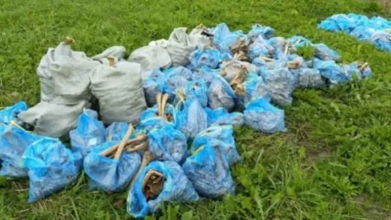 Ռուսաստանում հայտնաբերվել է զանգվածային գերեզման երեխաների ոսկորներով