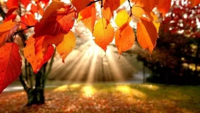 Ինչ եղանակ է սպասվում առաջիկա օրերին