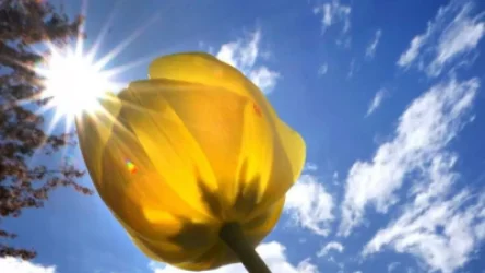 Առաջիկա օրերի եղանակը՝ ՀՀ տարածքում