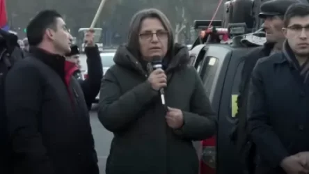 Դուք դավեցիք որդուս հայրենիքը, ես թույլ չեմ տա դավեք իմ թոռնիկի հայրենիքը. Կարին Տոնոյանը պահանջում է հրապարակել փաստաթուղթը